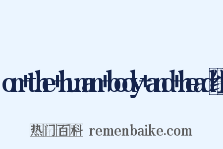 on+the+human+body+and+head组词是什么意思的图片